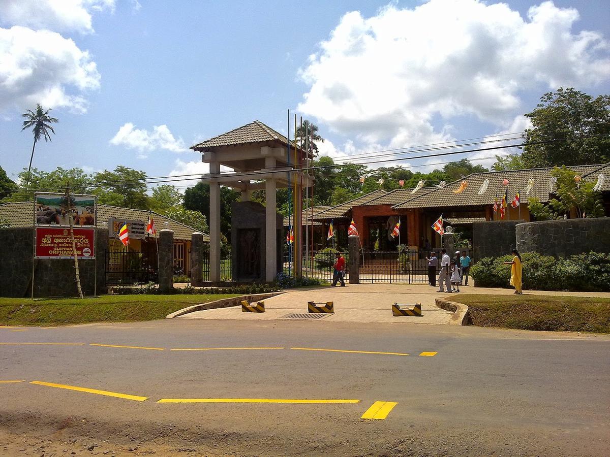 Cafe Pinnalanda Pinnawala  Esterno foto